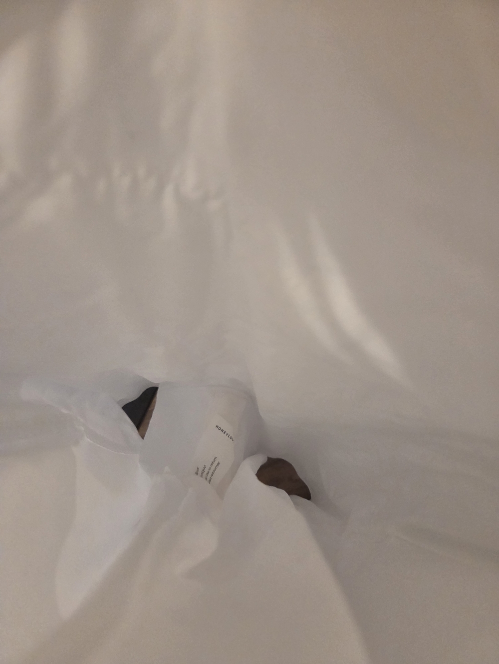 Honeylove Low Back Bodysuit (shape wear) - Picture 11 of 12